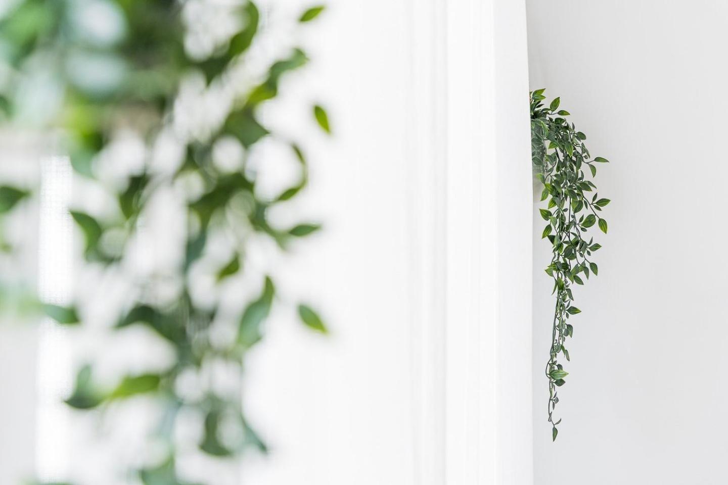Guestready - Modern Cosy Apartment With A Terrace OOporto Exteriör bild